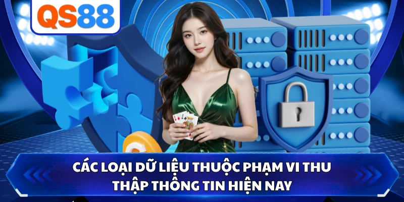 Các loại dữ liệu thuộc phạm vi thu thập thông tin hiện nay