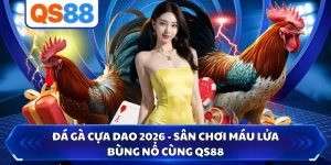 Đá Gà Cựa Dao - Sân Chơi Số 1 Máu Lửa Bùng Nổ Cùng QS88