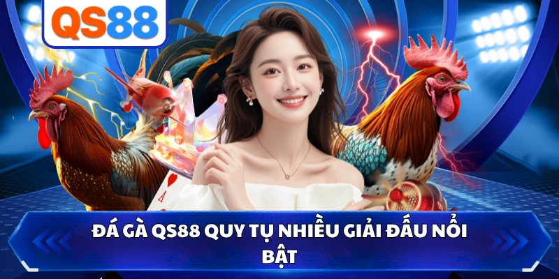 Đá gà QS88 quy tụ nhiều giải đấu nổi bật