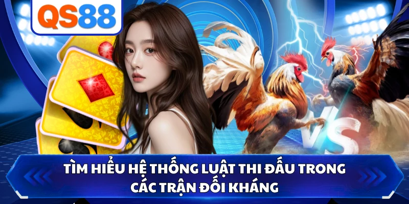 Tìm hiểu hệ thống luật thi đấu trong các trận đối kháng