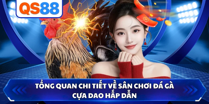 Tổng quan chi tiết về sân chơi đá gà cựa dao hấp dẫn